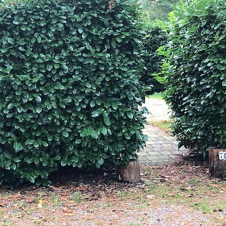 Vrijstaand Chalet In Bospark Villa Hattemerbroek Eksteriør billede