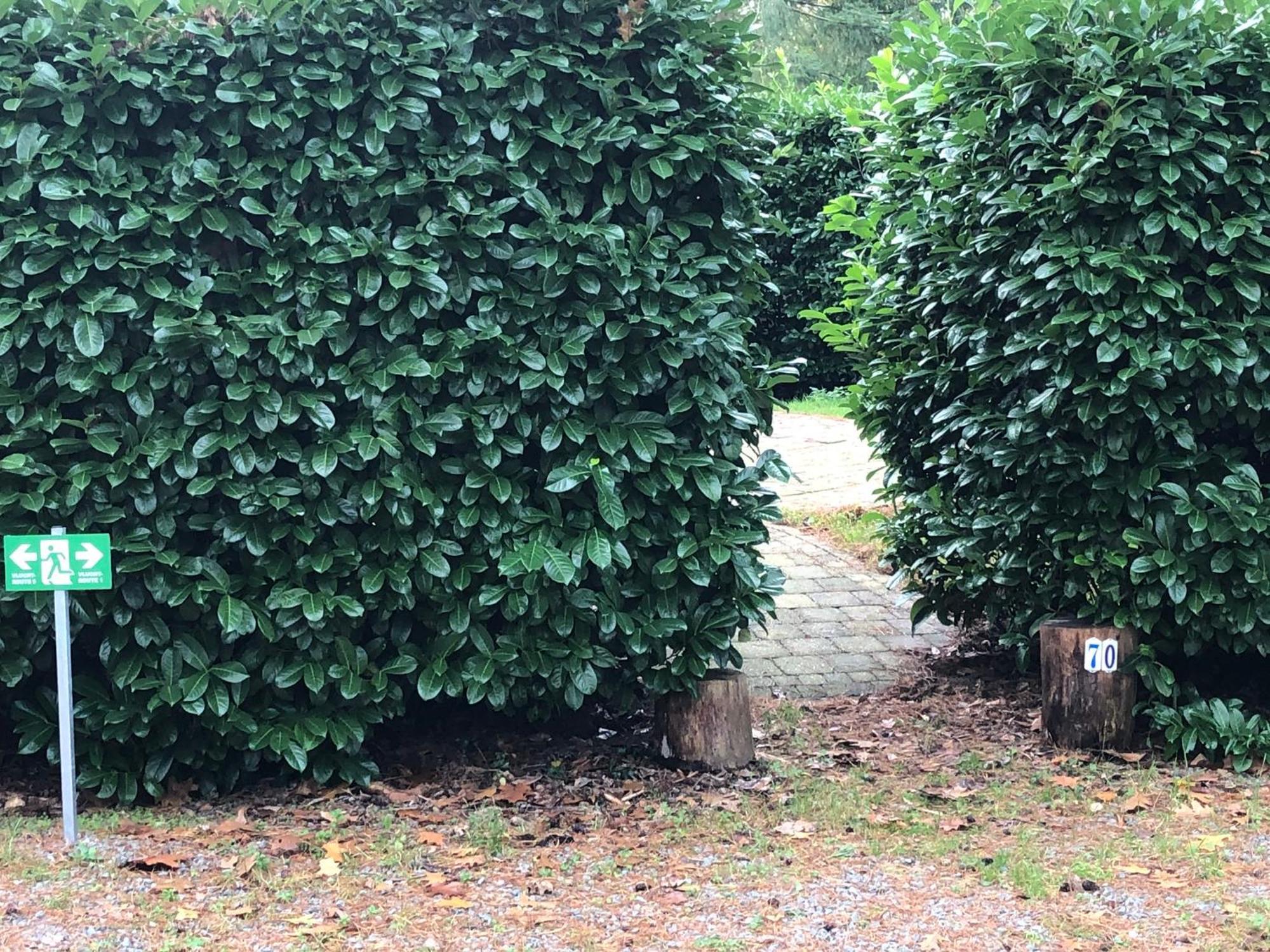 Vrijstaand Chalet In Bospark Villa Hattemerbroek Eksteriør billede